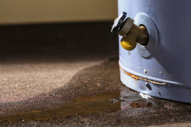 Best Residential water damage restoration  in Lakewood Clu, MI